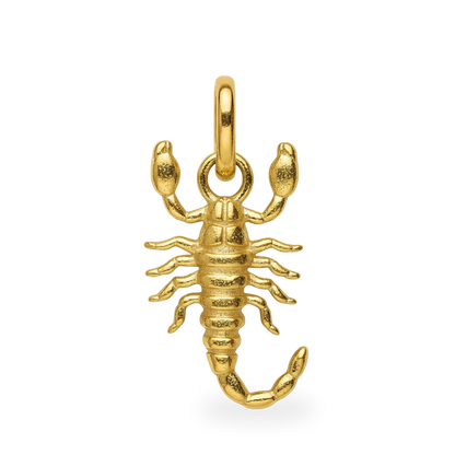 Charm Scorpio