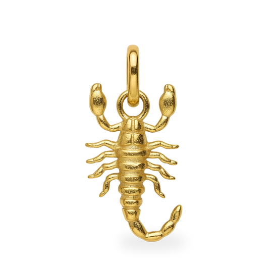 Charm Scorpio