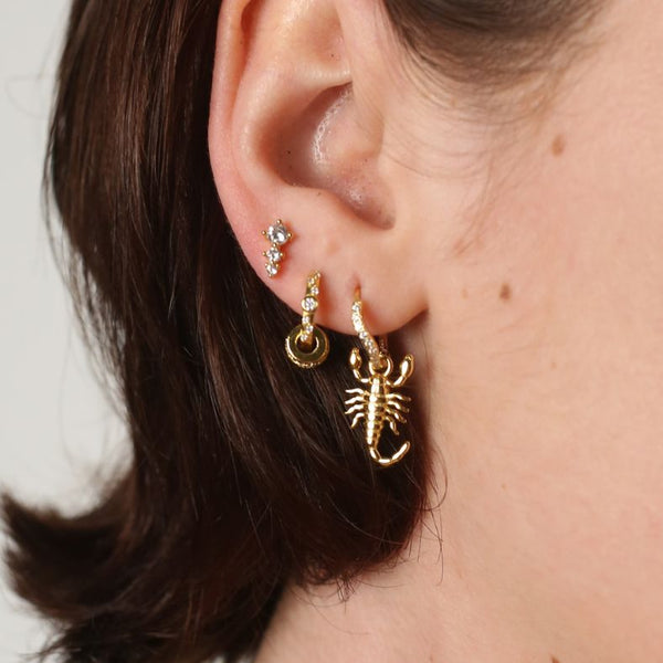 Charm Scorpio